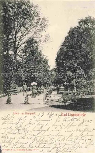 AK / Ansichtskarte BAD LIPPSPRINGE Allee im Kurpark