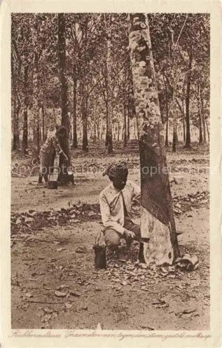 AK / Ansichtskarte KORK-Ernte Cork Liege Corcho Sughero Handwerk-- Wald 
