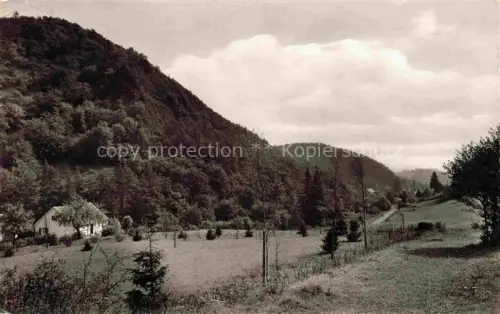 AK / Ansichtskarte BAD WILDUNGEN Landschaftspanorama Billsteinklippen