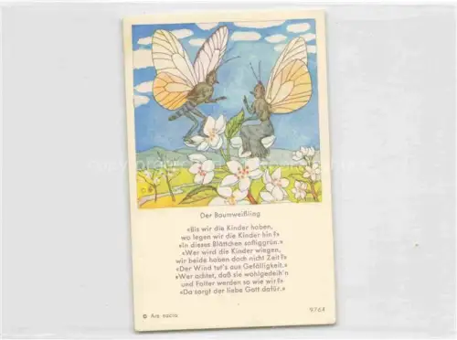 AK / Ansichtskarte IBM BOHATTA-MORPURGO Ida (1900-1992) Kuenstlerkarte Nr. 9764 Der Baumweissling 
