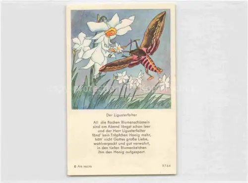 AK / Ansichtskarte IBM BOHATTA-MORPURGO Ida (1900-1992) Kuenstlerkarte Nr. 9764 Der Ligusterfalte 