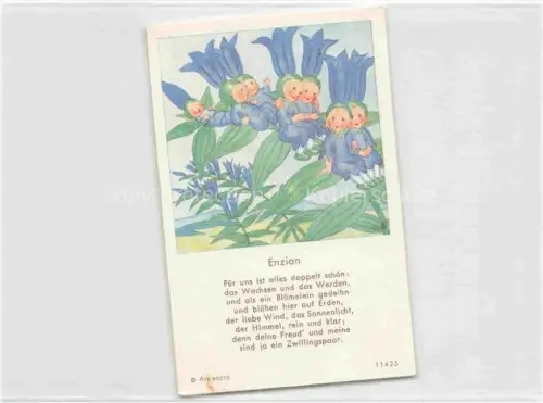 AK / Ansichtskarte IBM BOHATTA-MORPURGO Ida (1900-1992) Kuenstlerkarte Nr. 11425 Enzian 