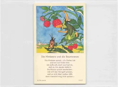 AK / Ansichtskarte IBM BOHATTA-MORPURGO Ida (1900-1992) Kuenstlerkarte Nr. 9418 Die Himbeere die Baumwanze 
