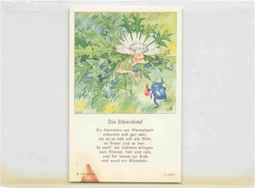 AK / Ansichtskarte IBM BOHATTA-MORPURGO Ida (1900-1992) Kuenstlerkarte Nr. 11425 Die Silberdistel 