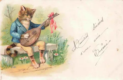 AK / Ansichtskarte Mandoline-- Vermenschlicht Katze 