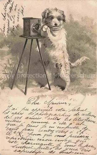 AK / Ansichtskarte Fotoapparat Fotografie Fotographie Hund 