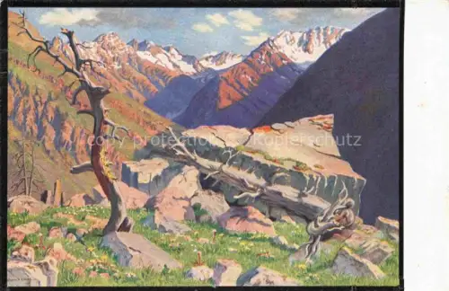 AK / Ansichtskarte SARASIN Regnault (1886-1943) Kuenstlerkarte Val Diavel und Val Sassa Schweizerischer Nationalpark 
