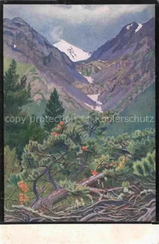 AK / Ansichtskarte SARASIN Regnault (1886-1943) Kuenstlerkarte Piz Quatervals und la Valletta
