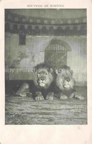 AK / Ansichtskarte Zirkus Artistik Variete Cirque-- Loewen Bostock