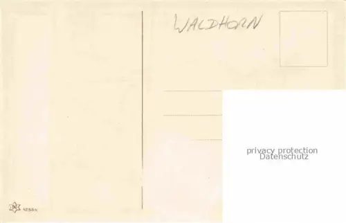 AK / Ansichtskarte Waldhorn Trompete Trumpet Trompette-- FNJ Nr. 42554 