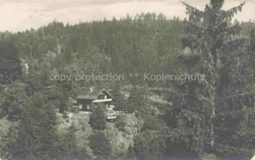 AK / Ansichtskarte Jocketa Adlerstein Gasthaus Handabzug