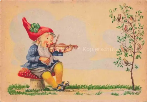 AK / Ansichtskarte Zwerge Dwarfs Nains-- Violine Pilz Voegel Litho