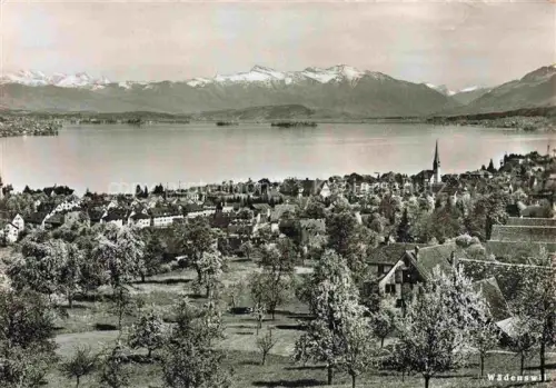 AK / Ansichtskarte Waedenswil Waedensweil ZH Panorama
