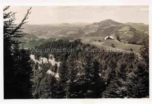 AK / Ansichtskarte Wald  ZH Panorama