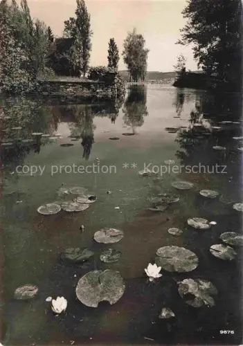 AK / Ansichtskarte Rueschlikon HORGEN ZH Stiftung Im Grueene Parkweiher