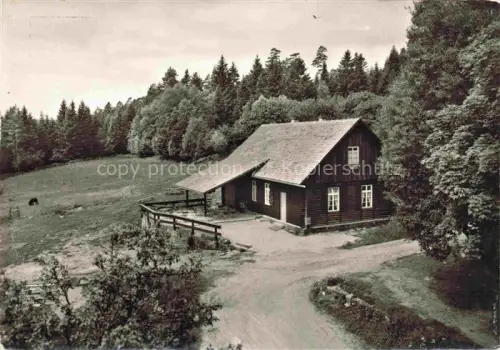 AK / Ansichtskarte WILDBAD  Schwarzwald Waldraststaette Gruenhuette