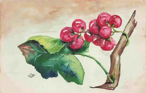 AK / Ansichtskarte Kirschen Cerises Ciliegie Cerezas Cherries Obst Fruit Frutta Fruta-- Zweig Feldpostkarte