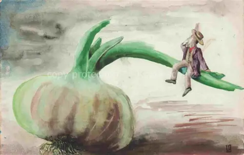 AK / Ansichtskarte Zwiebel Oignon Onion Cebolla Cipolla Lebensmittel Feldpostkarte