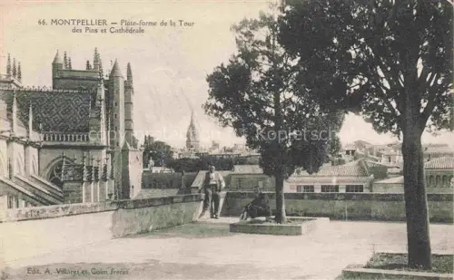AK / Ansichtskarte MONTPELLIER 34 Plate forme de la Tour des Pins et Cathedrale