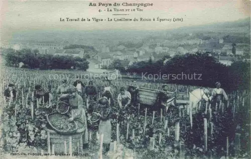 AK / Ansichtskarte EPERNAY 51 Marne Le Travail de la Vigne La Cueillette du Raisin a Epernay