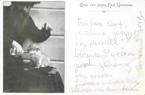 AK / Ansichtskarte Zoo Gardin Zoologique-- Zuerich Loewe