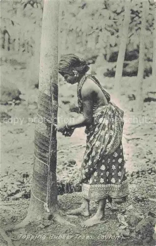 AK / Ansichtskarte Ceylon  SRI LANKA Tapping Rubber Trees