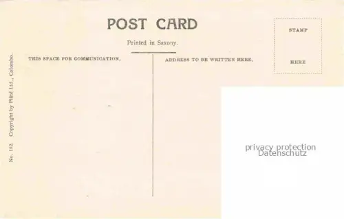 AK / Ansichtskarte Ceylon  SRI LANKA Tapping Rubber Trees