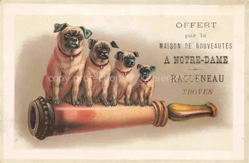 AK / Ansichtskarte HUNDE dogs chiens-- Mops Litho 