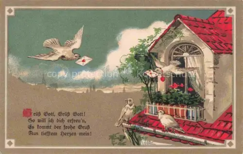 AK / Ansichtskarte Brieftaube Carrier Pigeon voyageur-- Litho