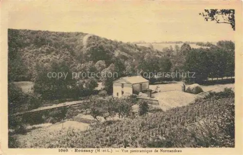 AK / Ansichtskarte Roussay CHOLET 49 Maine-et-Loire Vue panoramique de Normandeau