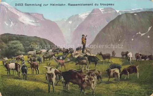 AK / Ansichtskarte Schaeferei Sheperding Bergerie-- 2453 Rassemblement du troupeau Ziege Litho
