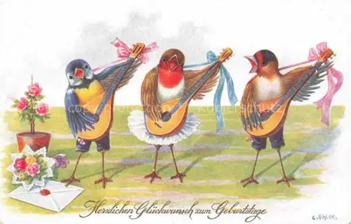 AK / Ansichtskarte Schwalben Swallow Hirondelle Golondria Voegel Birds Oiseaux Glueckwunsch Geburtstag Vermenschlicht  