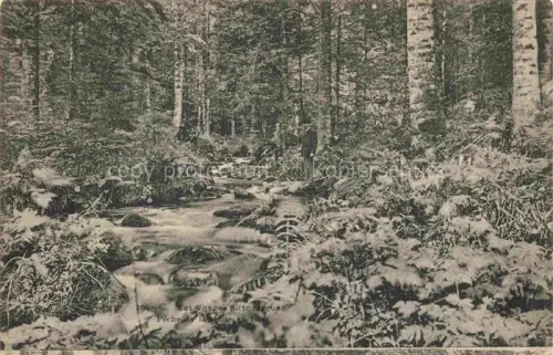 AK / Ansichtskarte Vosges Vogesen Region Angelsee im Wald