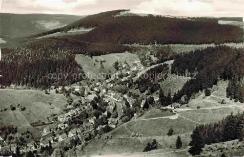 AK / Ansichtskarte Wildemann Harz Fliegeraufnahme