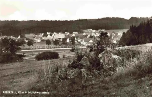 AK / Ansichtskarte Peterzell Alpirsbach Freudenstadt BW Panorama