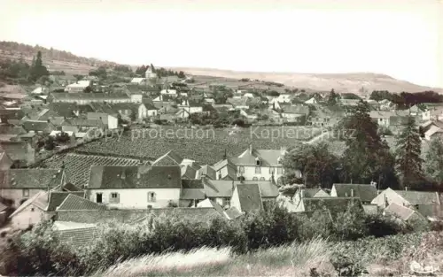 AK / Ansichtskarte Le Mesnil-sur-Oger Vue générale