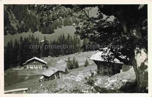 AK / Ansichtskarte Araches-la-Frasse 74 Haute-Savoie Panorama