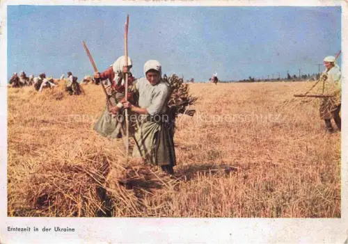 AK / Ansichtskarte Ernte Landwirtschaft Ukraine Frauen