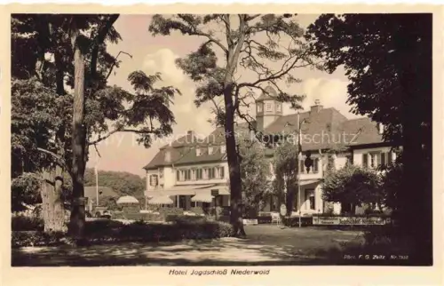 AK / Ansichtskarte Niederwald Ruedesheim Hessen Waldhotel Jagdschloss Niederwald