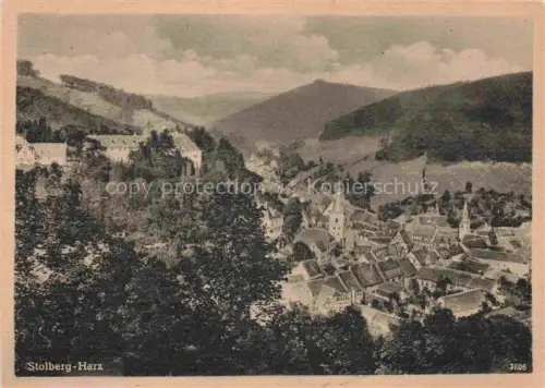 AK / Ansichtskarte Stolberg Harz Panorama