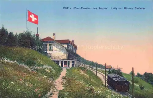 AK / Ansichtskarte Blonay-sur-Vevey Blonay-Saint-Legier VD Hôtel Pension des Sapins Lally sur Blonay Pleiades