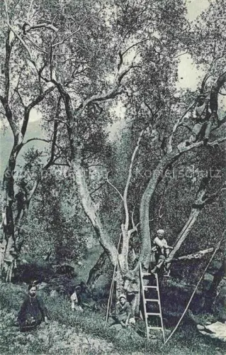 AK / Ansichtskarte GENOVA Genua Liguria IT Costumi della Riviera Ligure di ponente