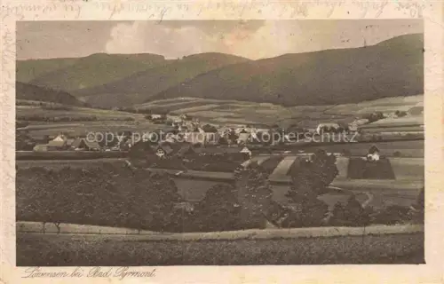 AK / Ansichtskarte Loewensen Bad Pyrmont Niedersachsen Panorama