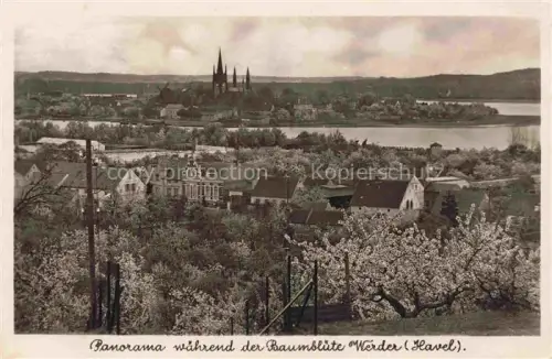 AK / Ansichtskarte Werder Havel Panorama waehrend der Baumbluete
