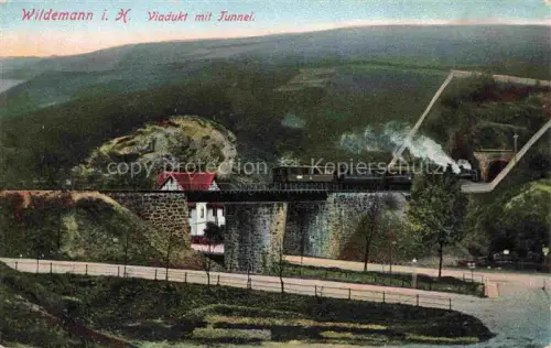 AK / Ansichtskarte Wildemann Harz Panorama Viadukt mit Tunnel