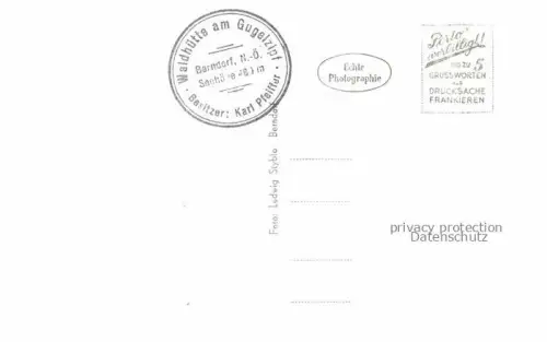 AK / Ansichtskarte Berndorf Niederoesterreich AT Waldhuette am Gugelzipf