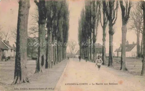 AK / Ansichtskarte Avesnes-le-Comte ARRAS 62 Pas-de-Calais Le Marché aux Bestiaux