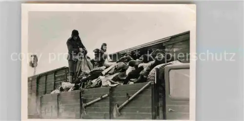 AK / Ansichtskarte Sablino Leningrad St-Petersbourg ST-PETERSBURG RU Wollspende fuer GREIF-Division Wehrmacht 