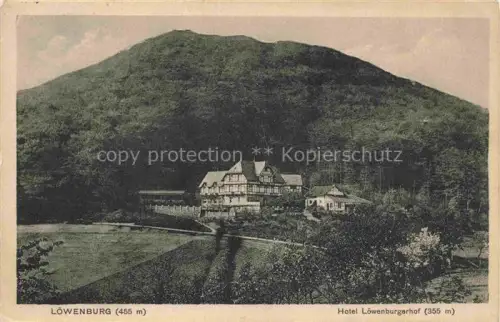 AK / Ansichtskarte BAD HONNEF Panorama Loewenburg Hotel Loewenburgerhof