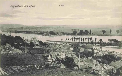 AK / Ansichtskarte Oppenheim Rhein Rheinland-Pfalz Panorama Rheintal
